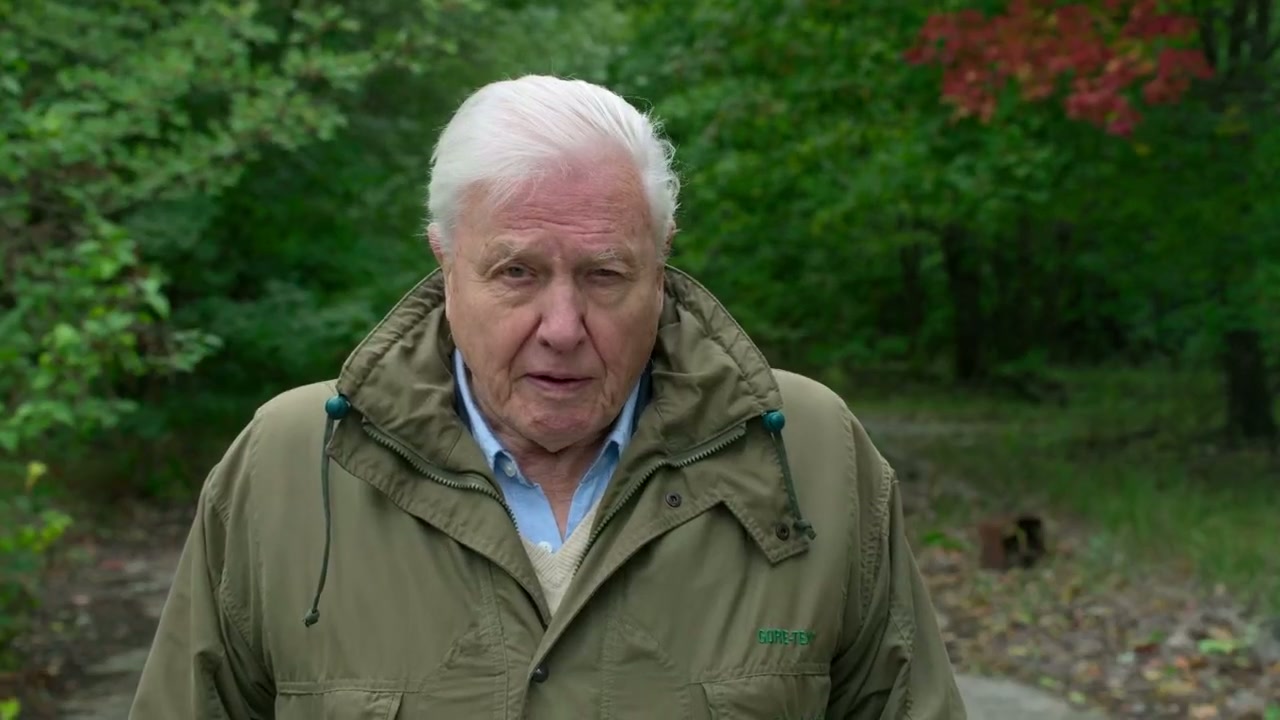 David Attenborough: A Life on Our Planet Screenshot