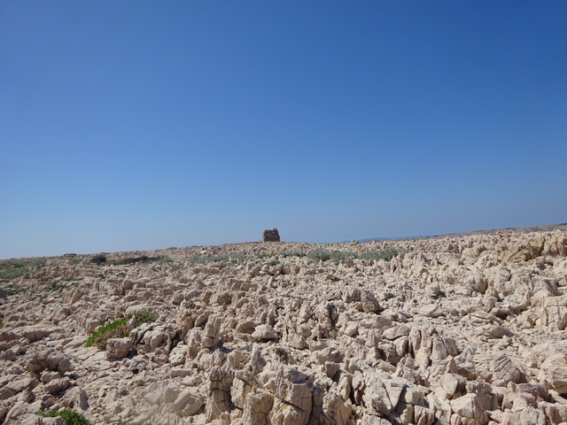 DSC04758.jpg