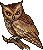owl