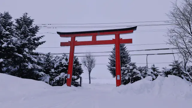 美瑛神社3.webp