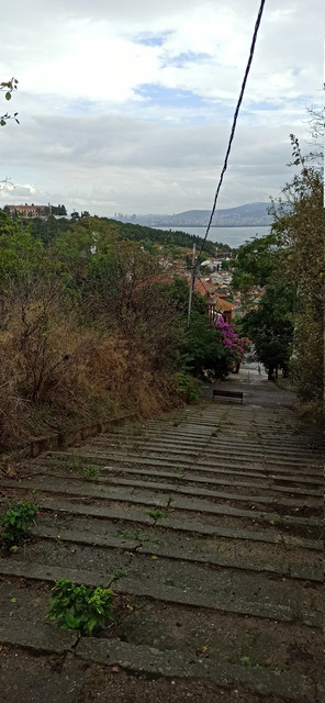 IMG 20260930 102711.jpg