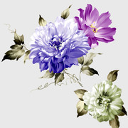shutterstock-1355062154