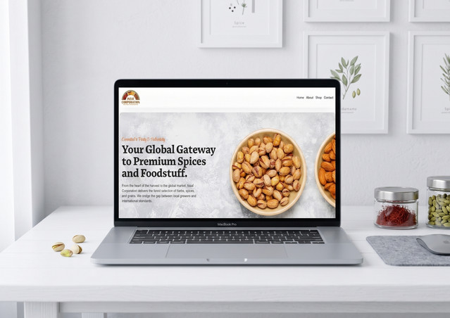 Insaf Corporation website design
