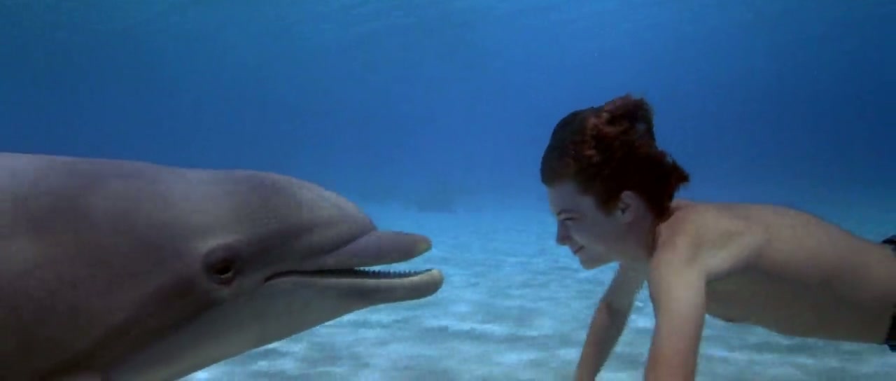 Flipper Screenshot