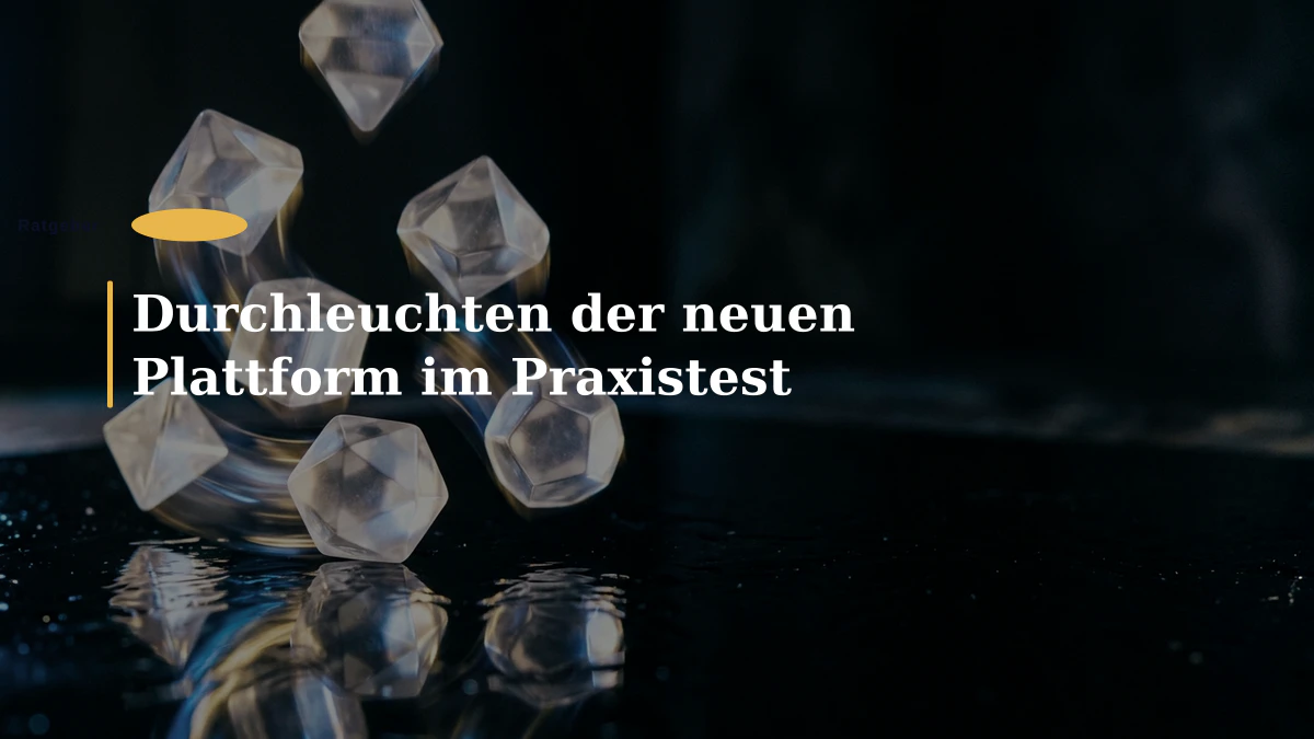 Durchleuchten der neuen Plattform im Praxistest
