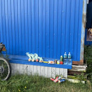 IMG 4930