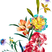 b5b1179c4d81c19da7233b908877e8af