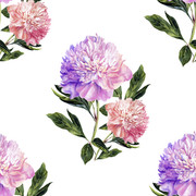 shutterstock 642122977