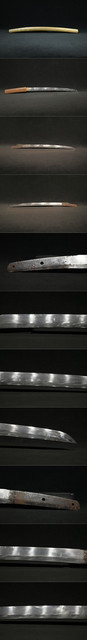 DSC8657.jpg