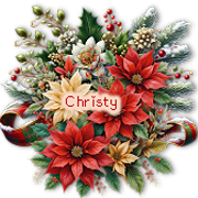 Christy Scrap2Heidi A