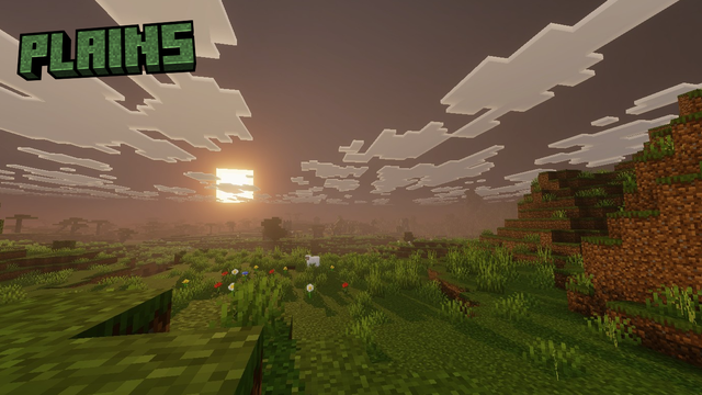 plains