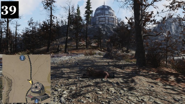 39.jpg