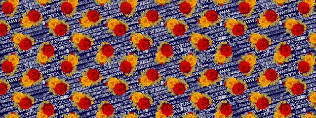 178 (1).png