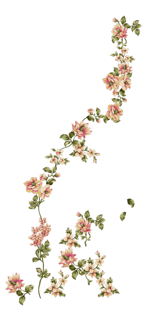 65a711435bdb428cbdf9e80cb2ff2d37.png