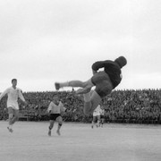 1964 1 3