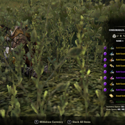 Screenshot-20210210-201229