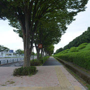 P1340919