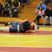 IMG-0231