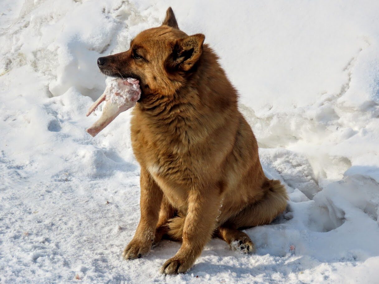 i-7
