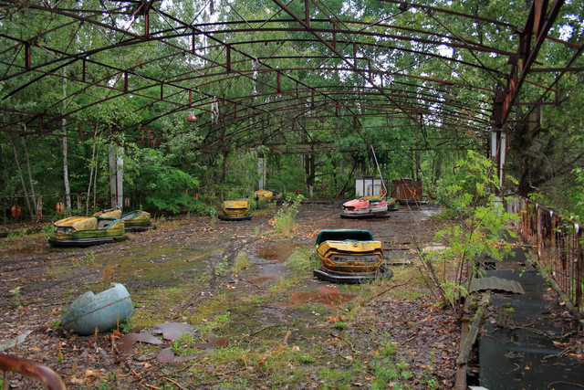 IMG-6036.jpg