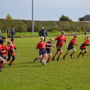 DSC-0163