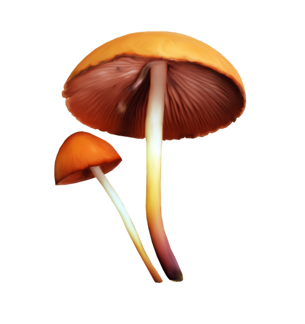 0-a5117-16a2e7b4-orig