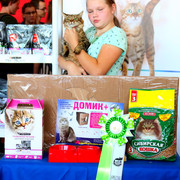 IMG 4097