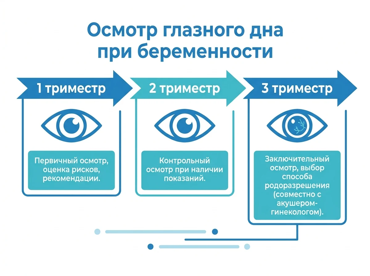 Осмотр глазного дна по триместрам