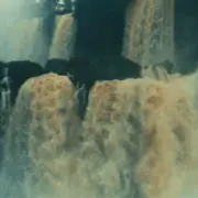 King Kong (1976).webp