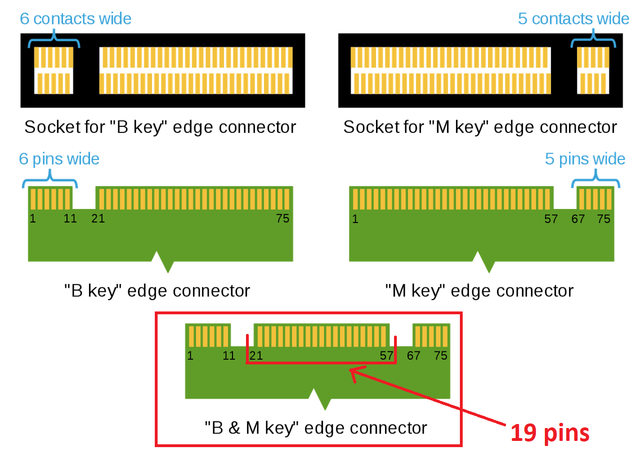19-pin.png