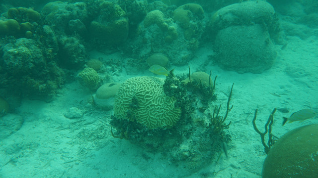 DSC03150