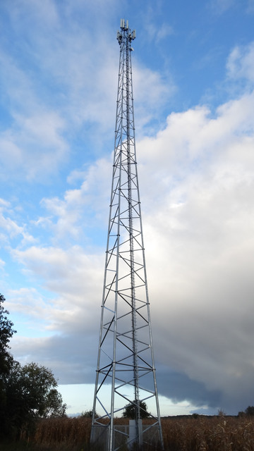 DSC01004