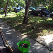 IMG-7246