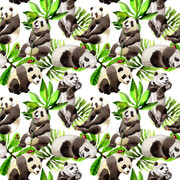 18-Panda
