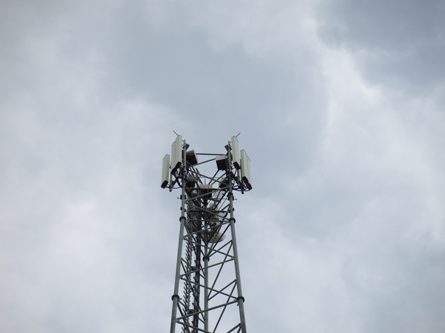 IMG-4005