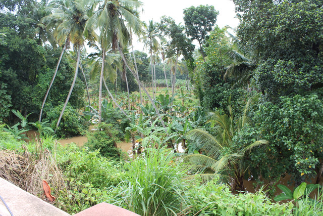 IMG 0608.jpg