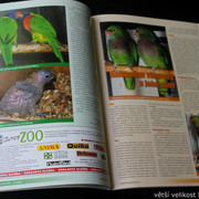 IMG-7831