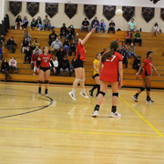 IMG-0298