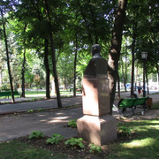 IMG-8691