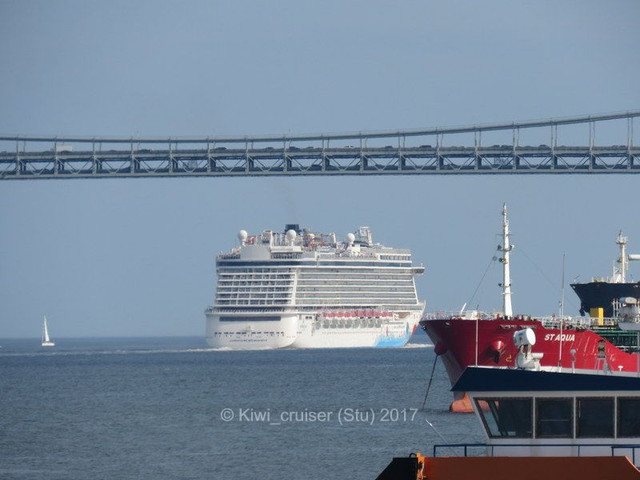 IMG-7022.jpg