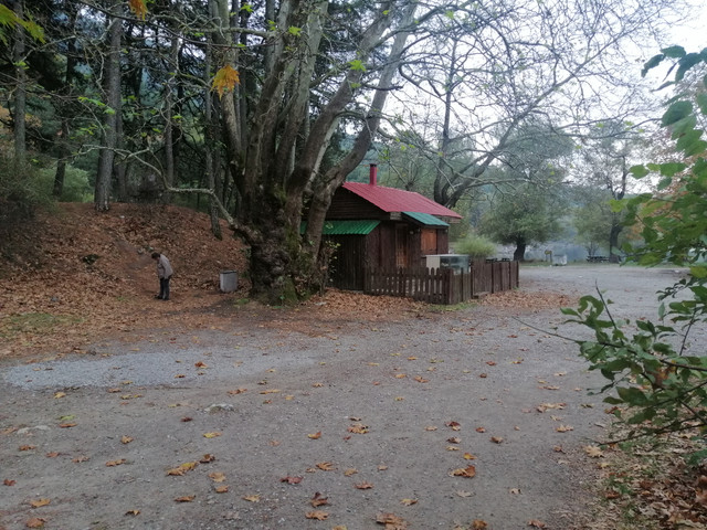 IMG-20231109-155208
