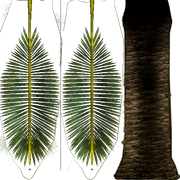 H38FcEl