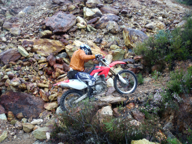 DSCF1214.jpg