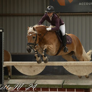 29A8205