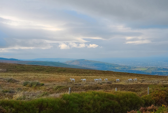 DSCF5473.jpg