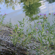 DSC5338-result