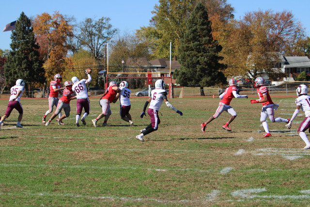 IMG-1564.jpg