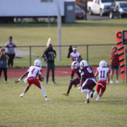 IMG-2238