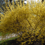 P5041564