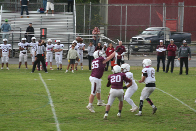 IMG-0240.jpg